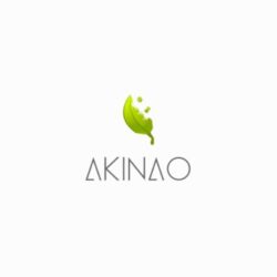 Akinao_siteinternet