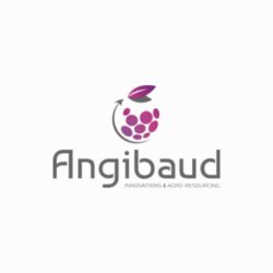 Angibaud_siteinternet