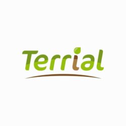Terrial_siteinternet