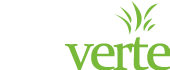 Fibre verte