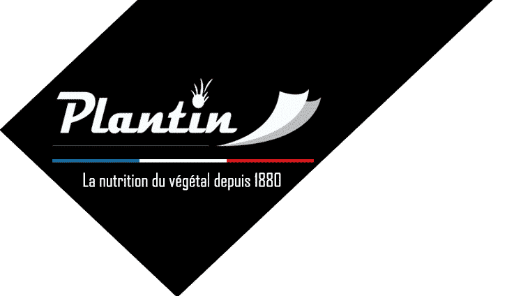 Plantin