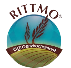 Rittmo
