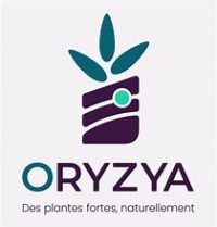 Logo ORYZYA